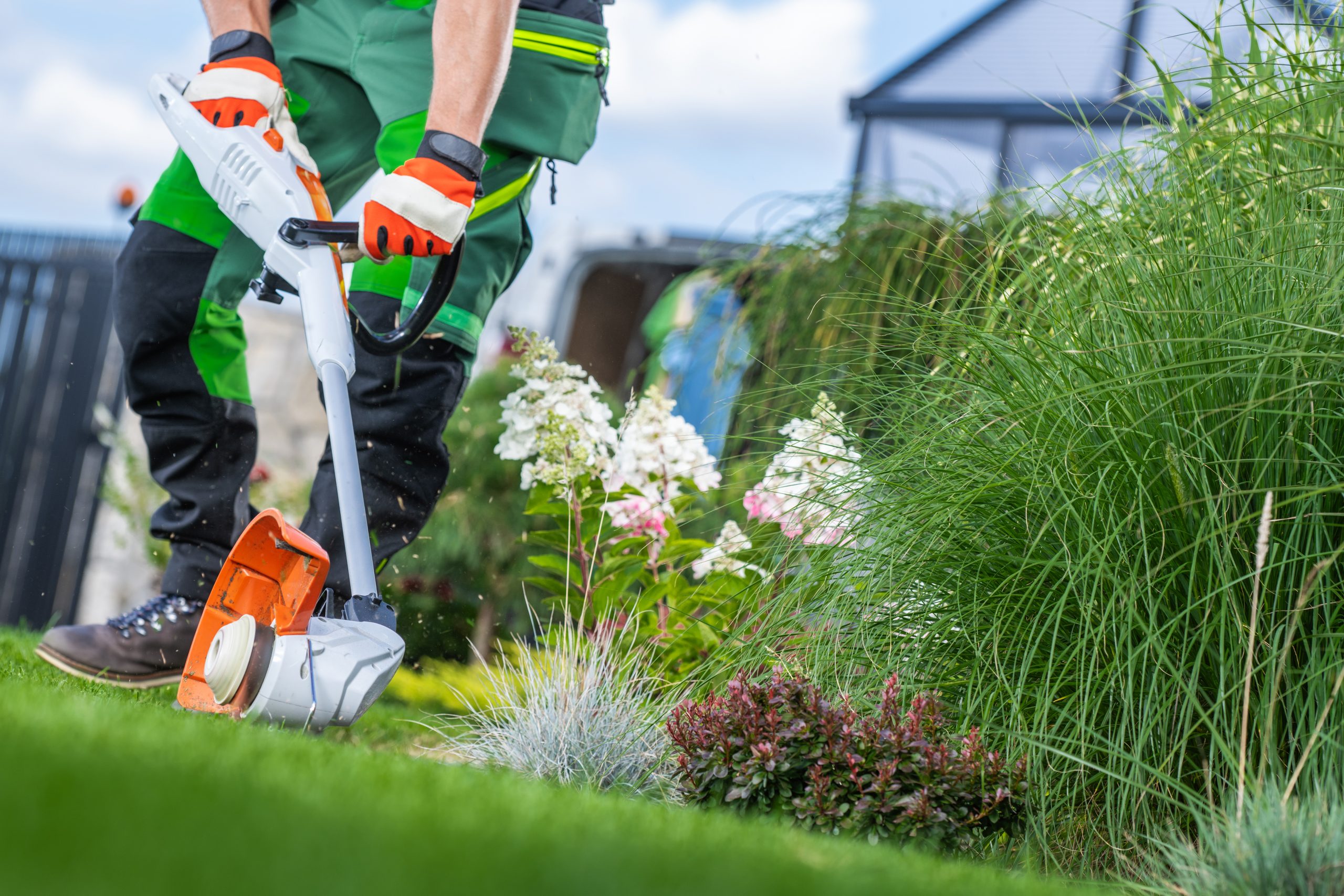 Jardinier paysagiste effectuant la tonte de pelouse et la scarification avec évacuation des déchets verts