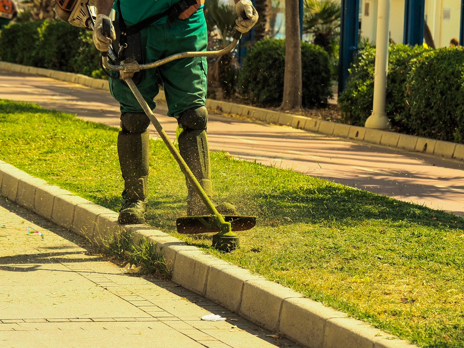 Contrat d'entretien d'espaces verts pour entreprises et copropriétés dans le Nord