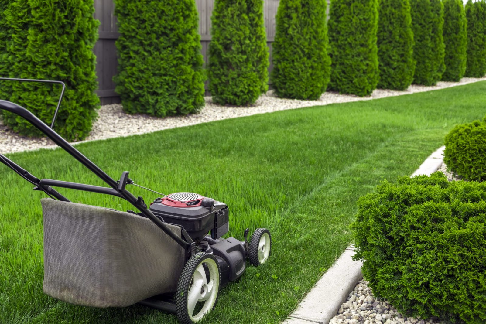 Entretien Jardin Weppes