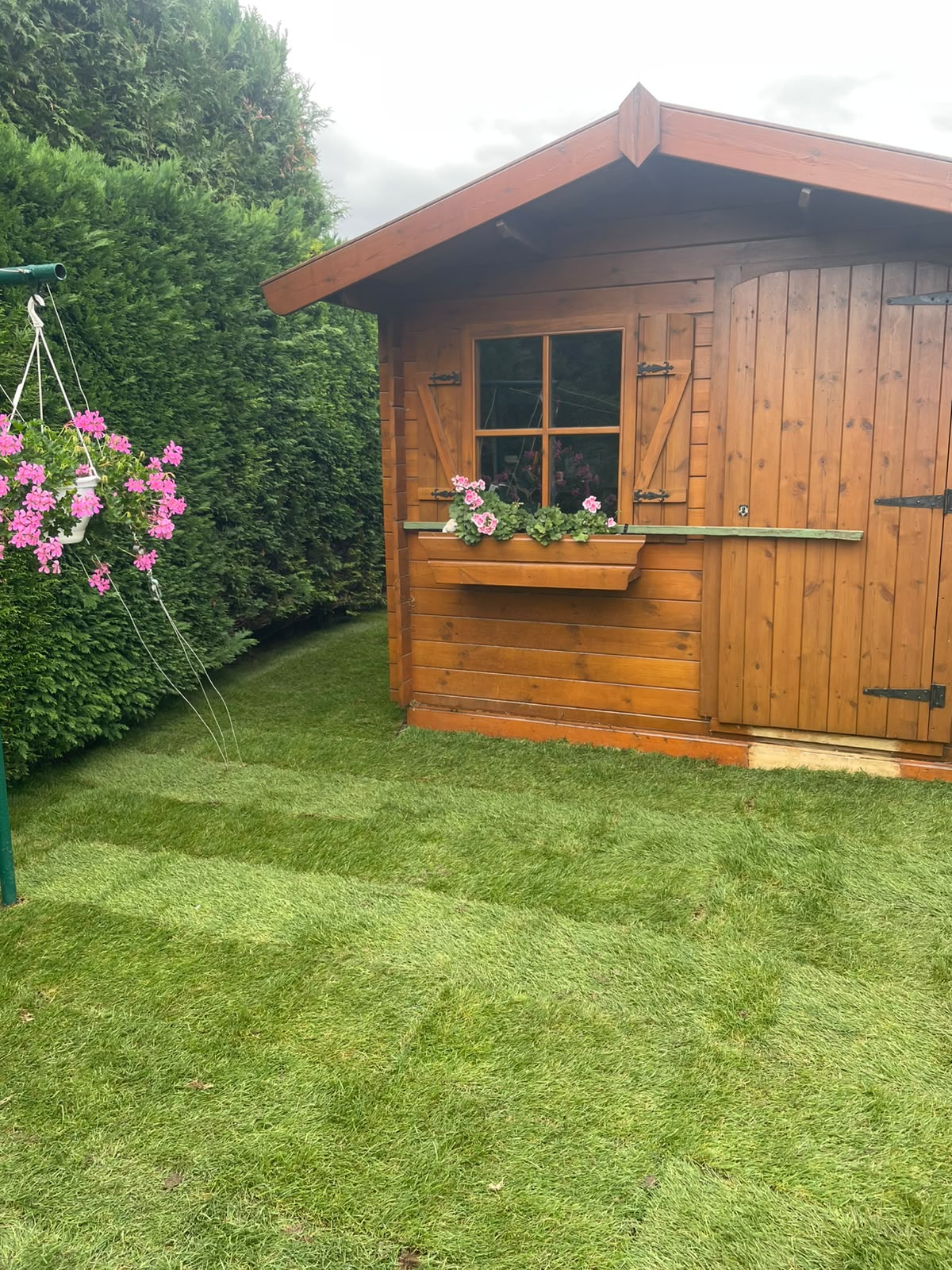 Après la pose du gazon de placage à Santes : pelouse Premium devant le chalet en bois fleuri