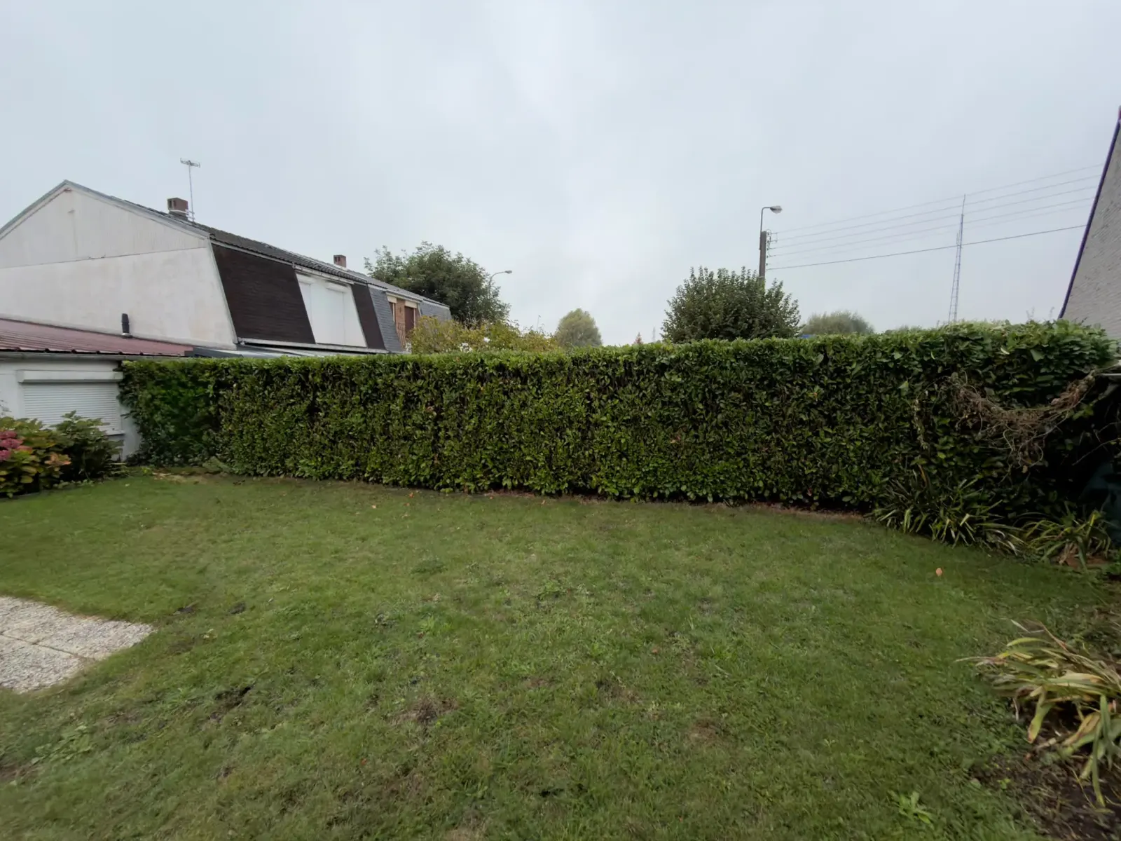 Haie de laurier dense au fond d'un jardin d'Englos, avant l'arrachage
