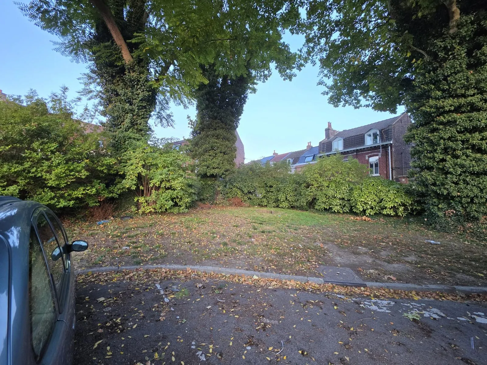 Massifs d'arbustes denses au pied d'arbres couverts de lierre avant intervention, Haubourdin