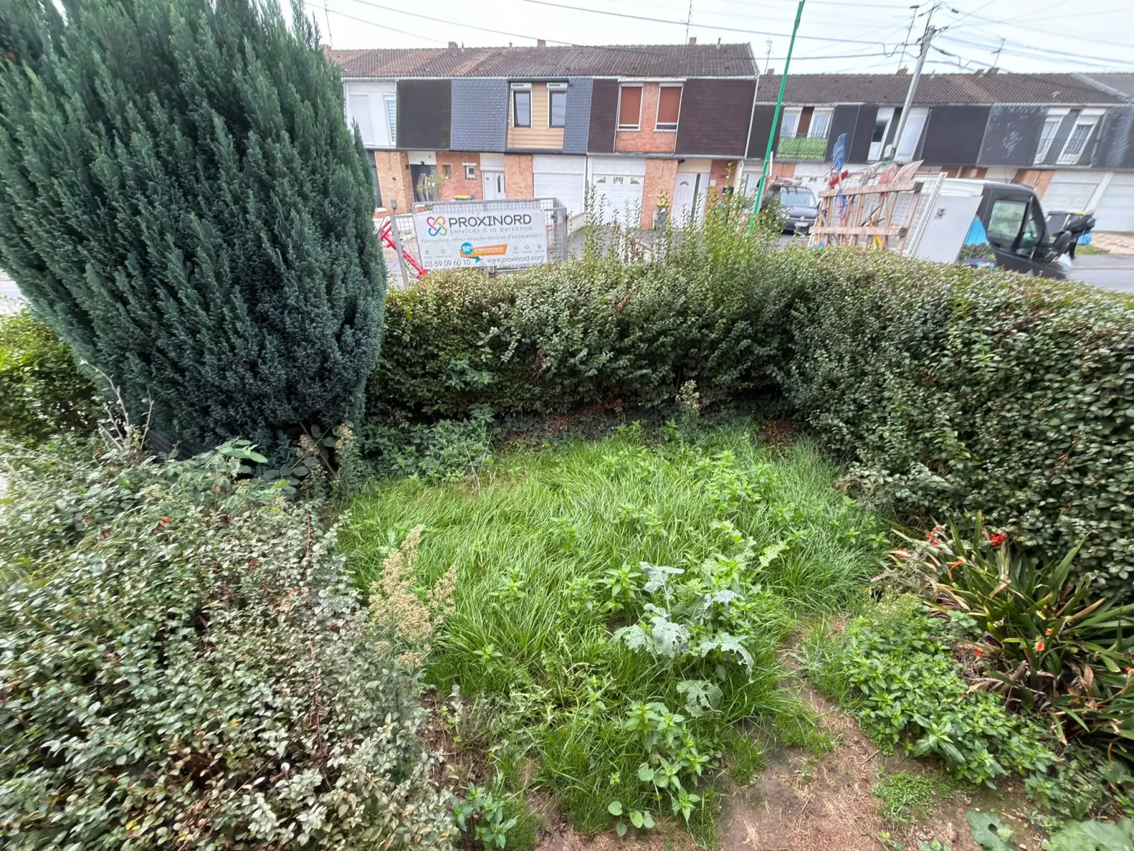 Jardin de devant envahi avant intervention, panneau de chantier Proxinord en fond, Hallennes-lez-Haubourdin