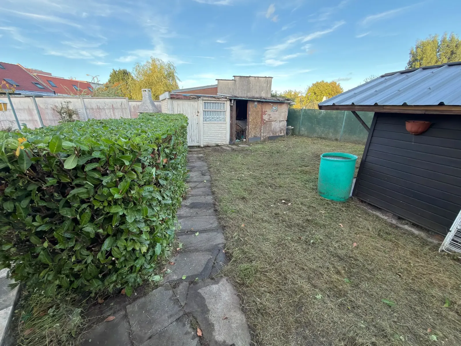 Haie de laurier taillée et pelouse tondue le long d'une allée en dalles, jardin remis en état à Hallennes-lez-Haubourdin
