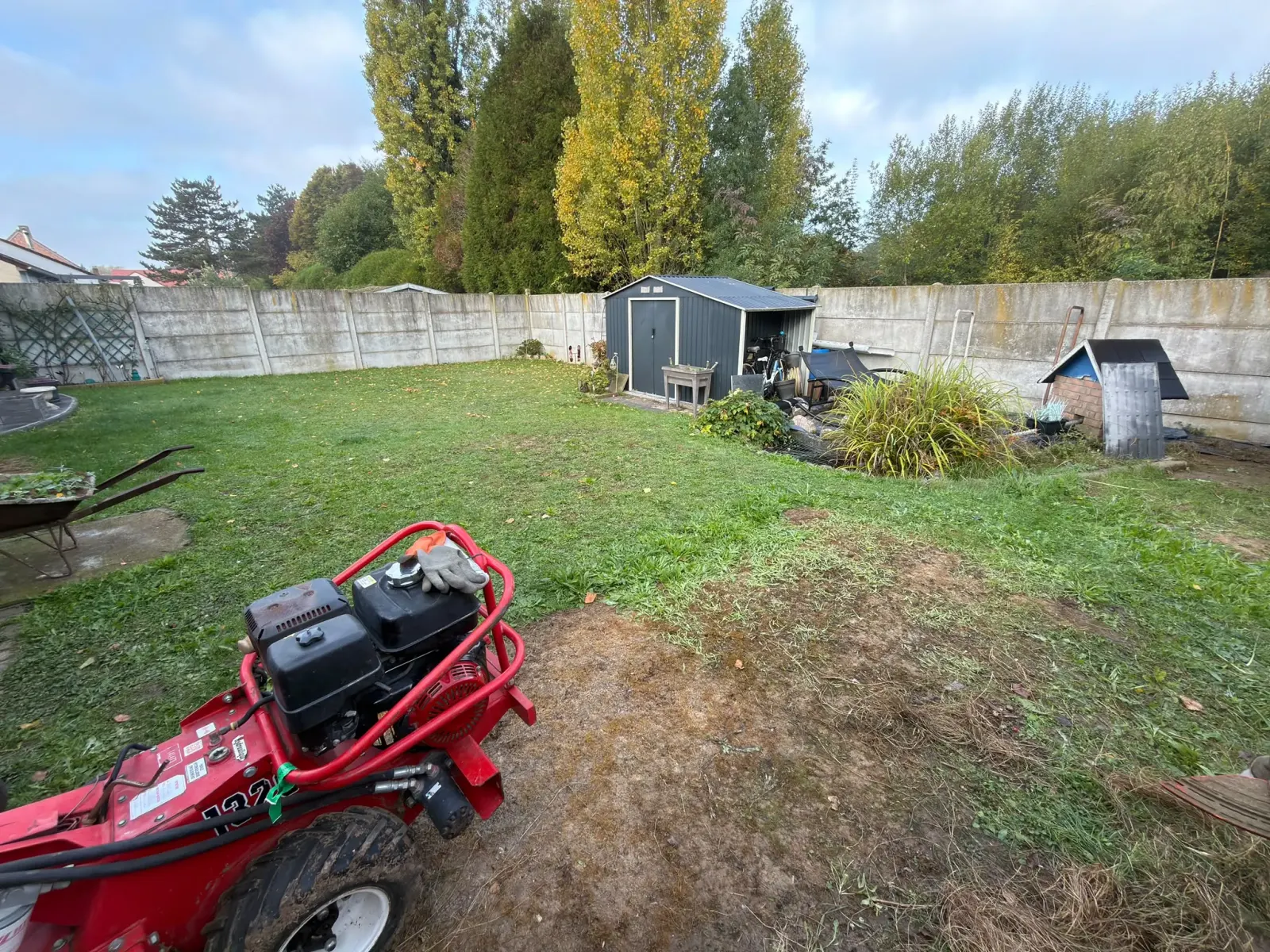 Ancienne pelouse avant renouvellement à Lambersart, fraise de travail du sol au premier plan