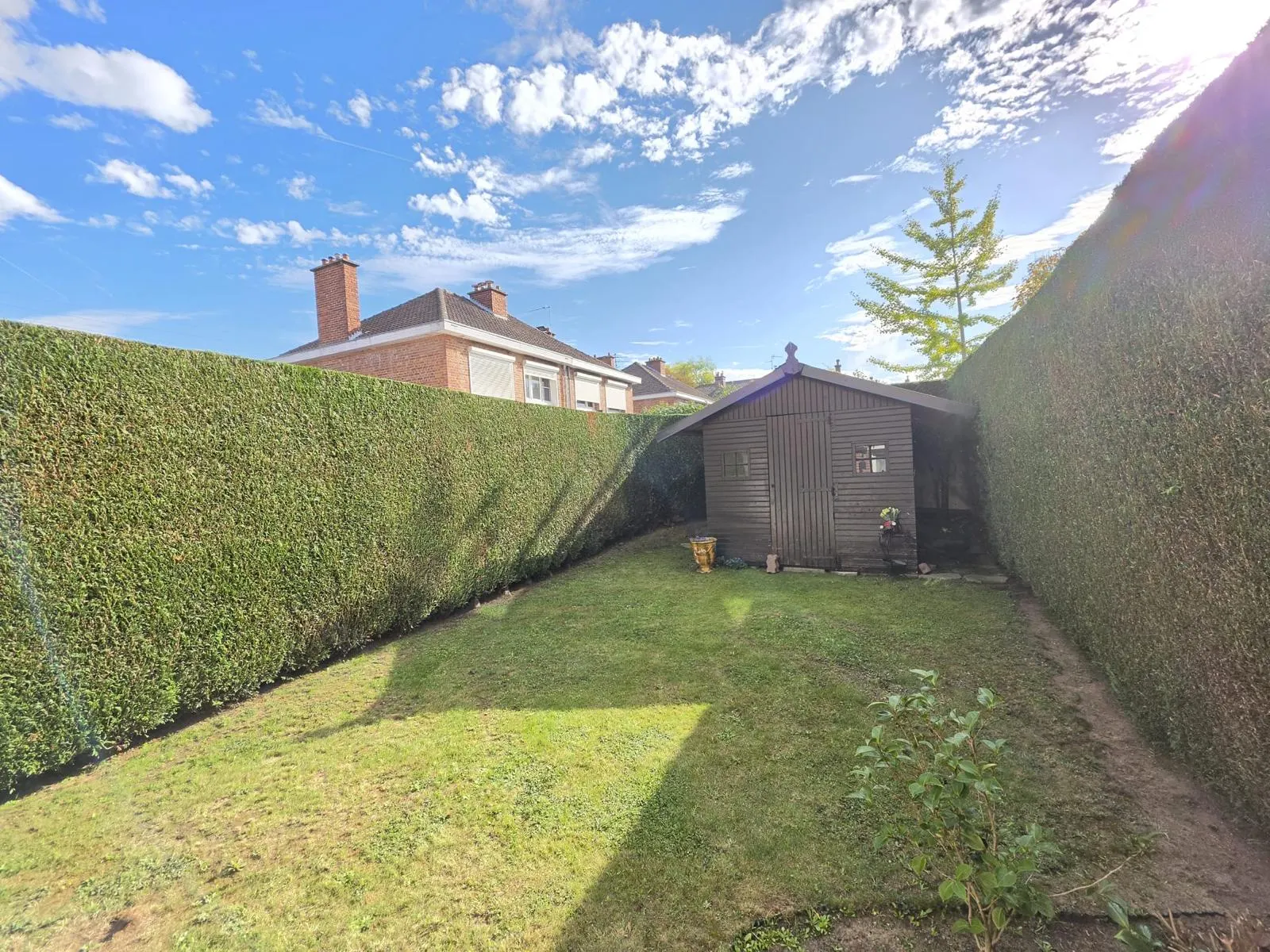 Taille haie Houplin-Ancoisne : haies de thuyas Atrovirens taillées de part et d'autre d'un jardin, abri en bois au fond